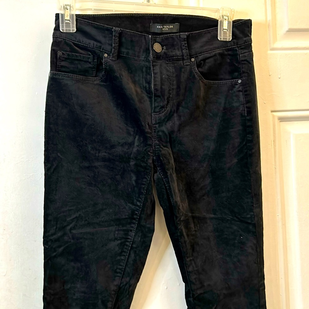 Ann Taylor Velvety Pants